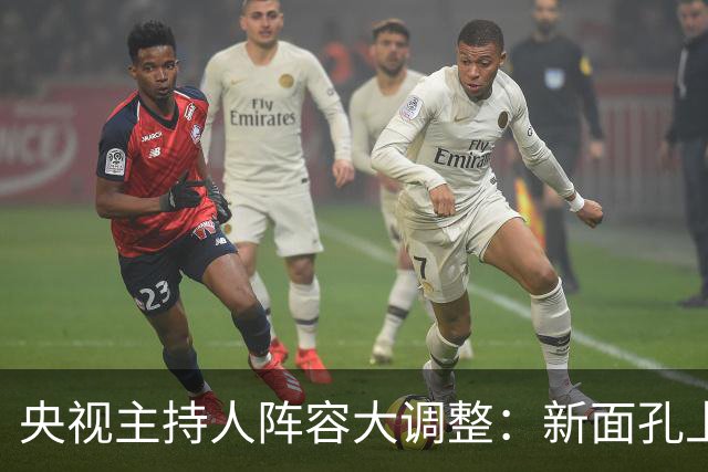 央视主持人阵容大调整：新面孔上位，老将转型，众人共迎变革